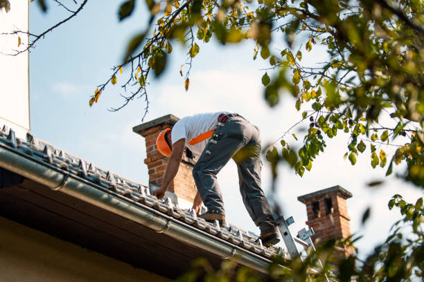 Best Sealant for Roof  in Moorefield, WV