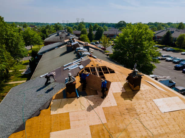 Best Roof Gutter Cleaning  in Moorefield, WV