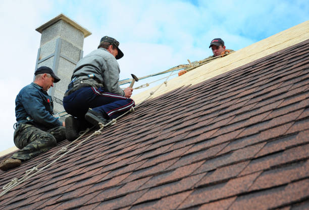 Best Local Roofing Companies  in Moorefield, WV